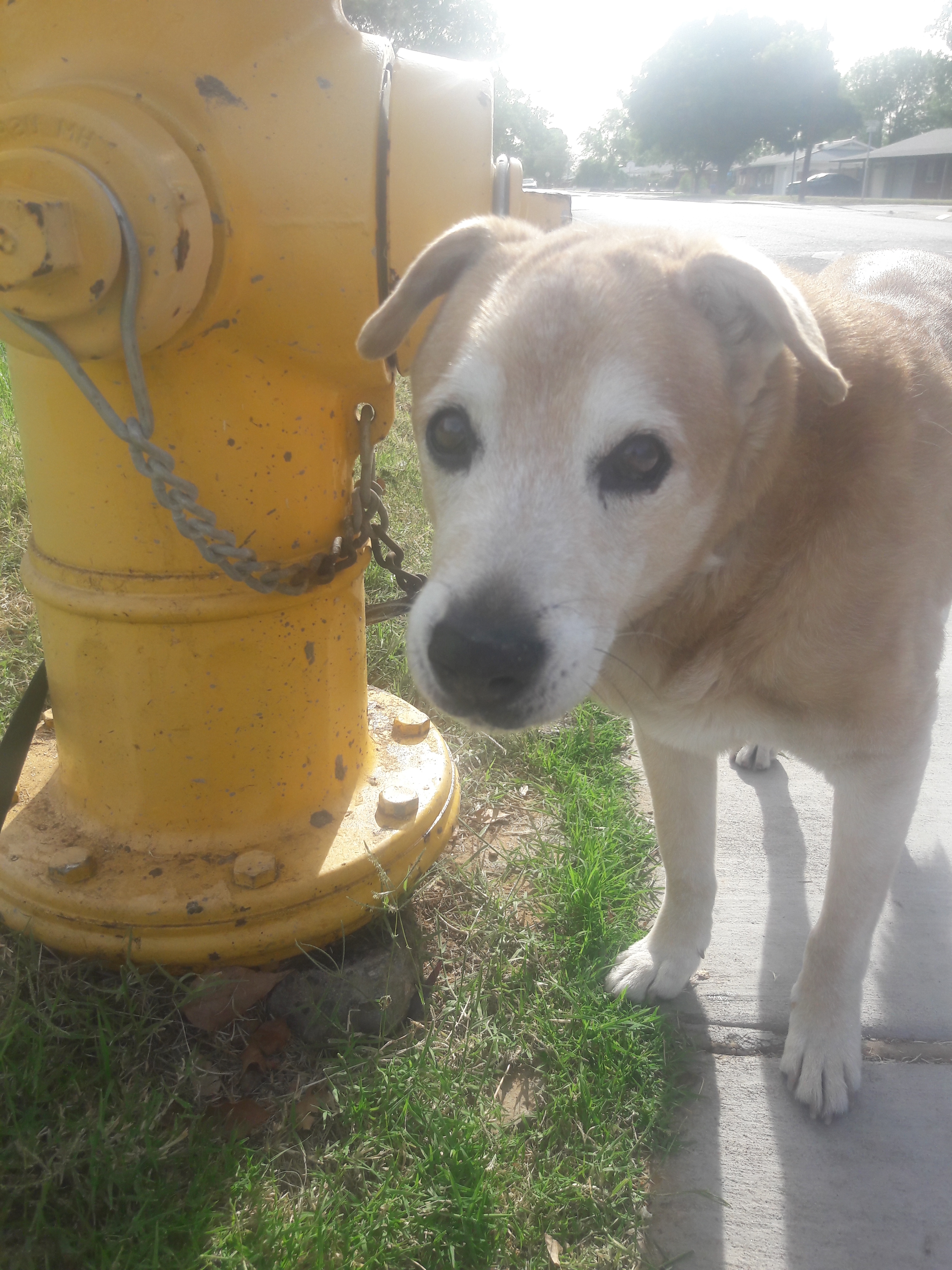 jake-fire-hydrant-1.jpg